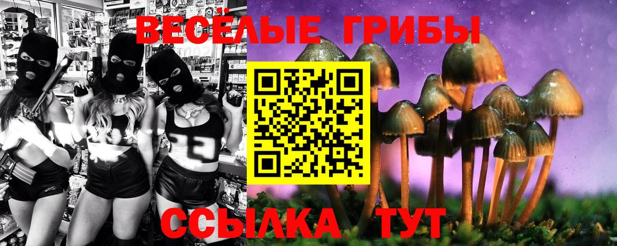 Галлюциногенные грибы Psilocybe  Псилоцибиновые грибы ЛСД  Вход с VPN  Семилуки 